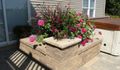 Square Planter