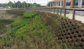 Green Walls