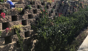 Green Wall Planting