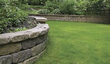 Planters around the Yard