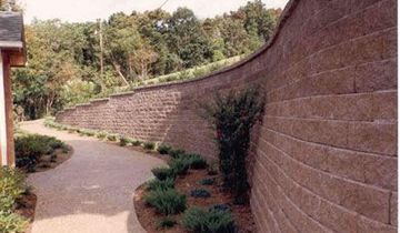 Tall Wall with Plants