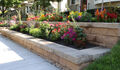 Harmony Tiered Planters